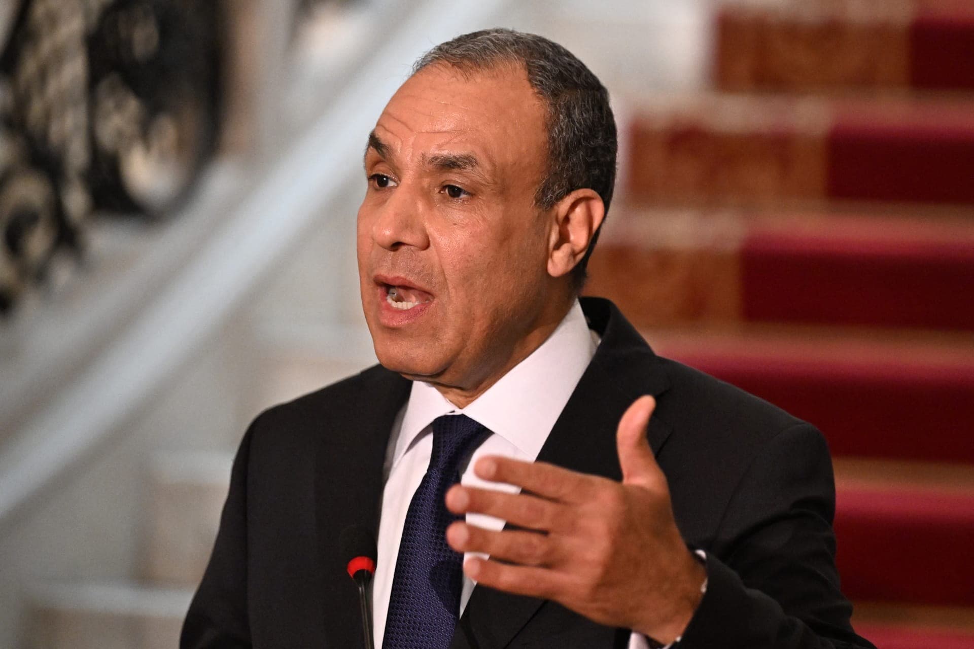وزير الخارجية المصري بدر عبد العاطي