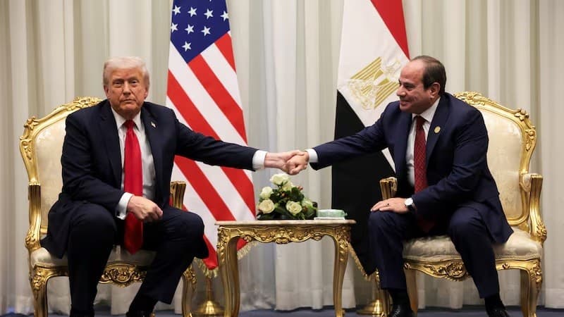 د. أميرة فؤاد النحال تكتب: ترويض البندقية لا إنهاء الحرب
