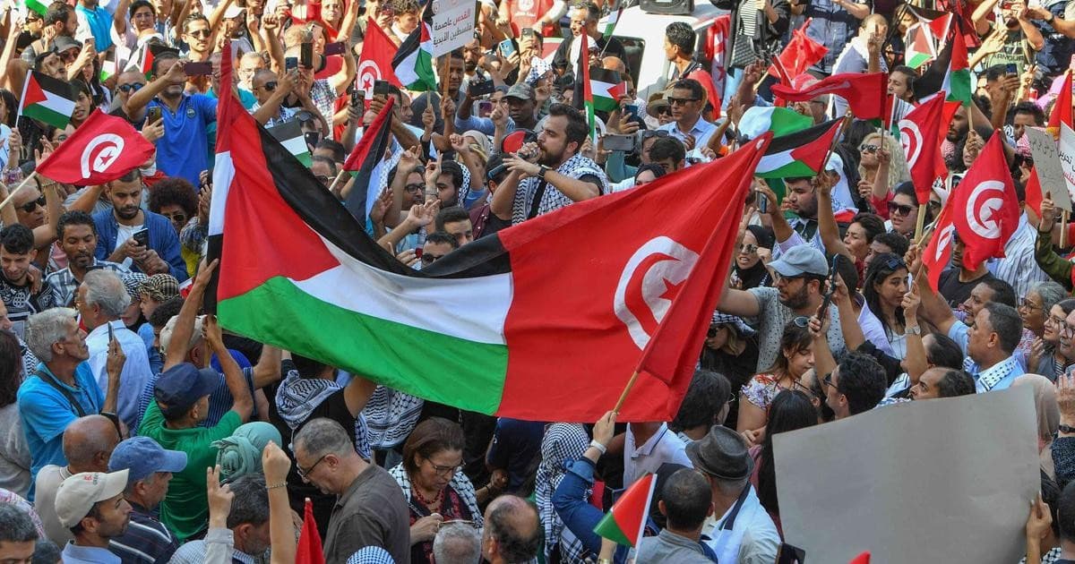 من العاصمة التونسية إلى الساحات العربية والأفريقية.. رسائل التضامن مع فلسطين تتجاوز الحدود