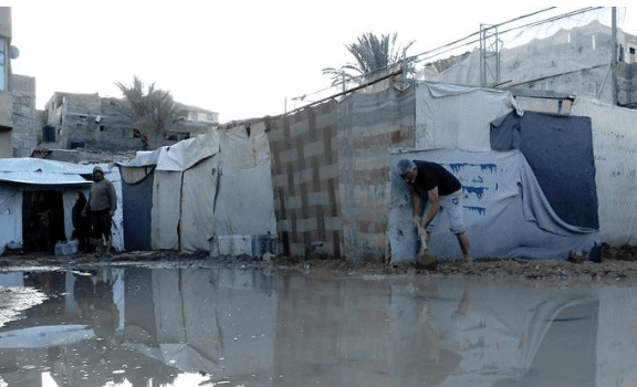 كارثة الشتاء في غزة.