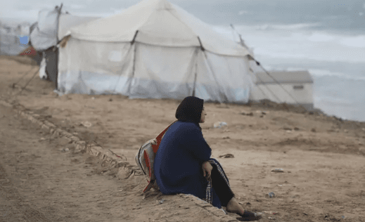 شتاء غزة.