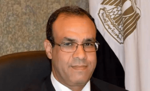 وزير الخارجية بدر عبد العاطي