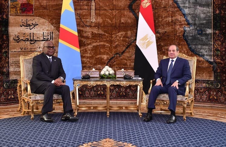 مصر تدعو دول حوض النيل للتوصل لتوافقات دون الإضرار بأي طرف