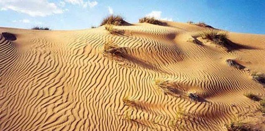 د. حسين علي غالب بابان يكتب: التصحر.. الحاضر الغائب
