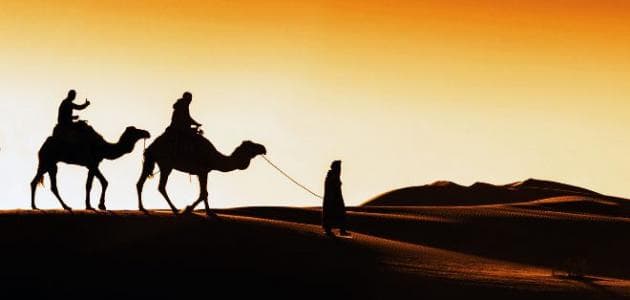 محمد عبدالقدوس يكتب : الهجرة النبوية والسعي بين الجبلين