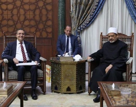 شيخ الأزهر : تقنين الشذوذ والتحول الجنسي غير مقبول شرقيا ولا دينيا ولا إنسانيا