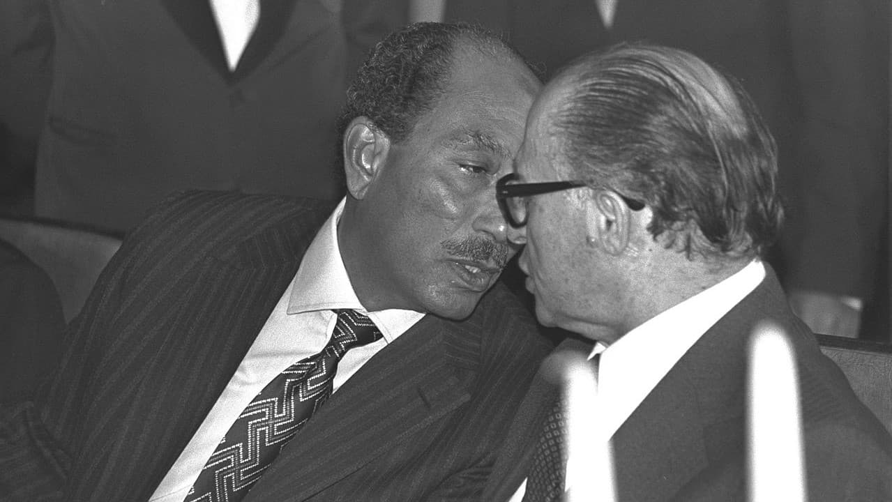 محمد قدري حلاوة يكتب : في وصف ما حدث
