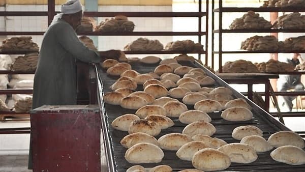 حسن مدبولي يكتب : رغيف الخبز وشهادات الصلاحية ؟