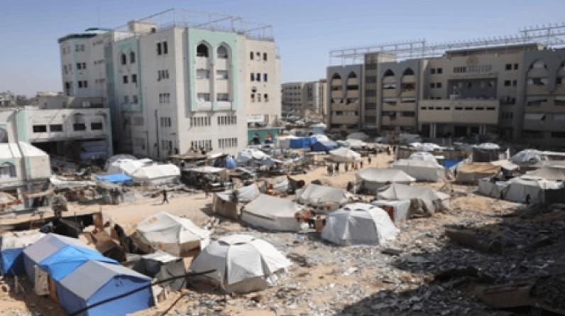أهالي غزة يلجأون إلى لحم السلاحف لمواجهة الجوع مع استمرار الحصار الإسرائيلي
