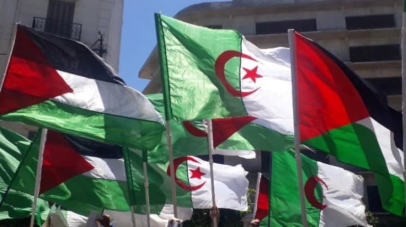 هادي جلو مرعي يكتب : شكرا للجزائر شكرا أفريقيا
