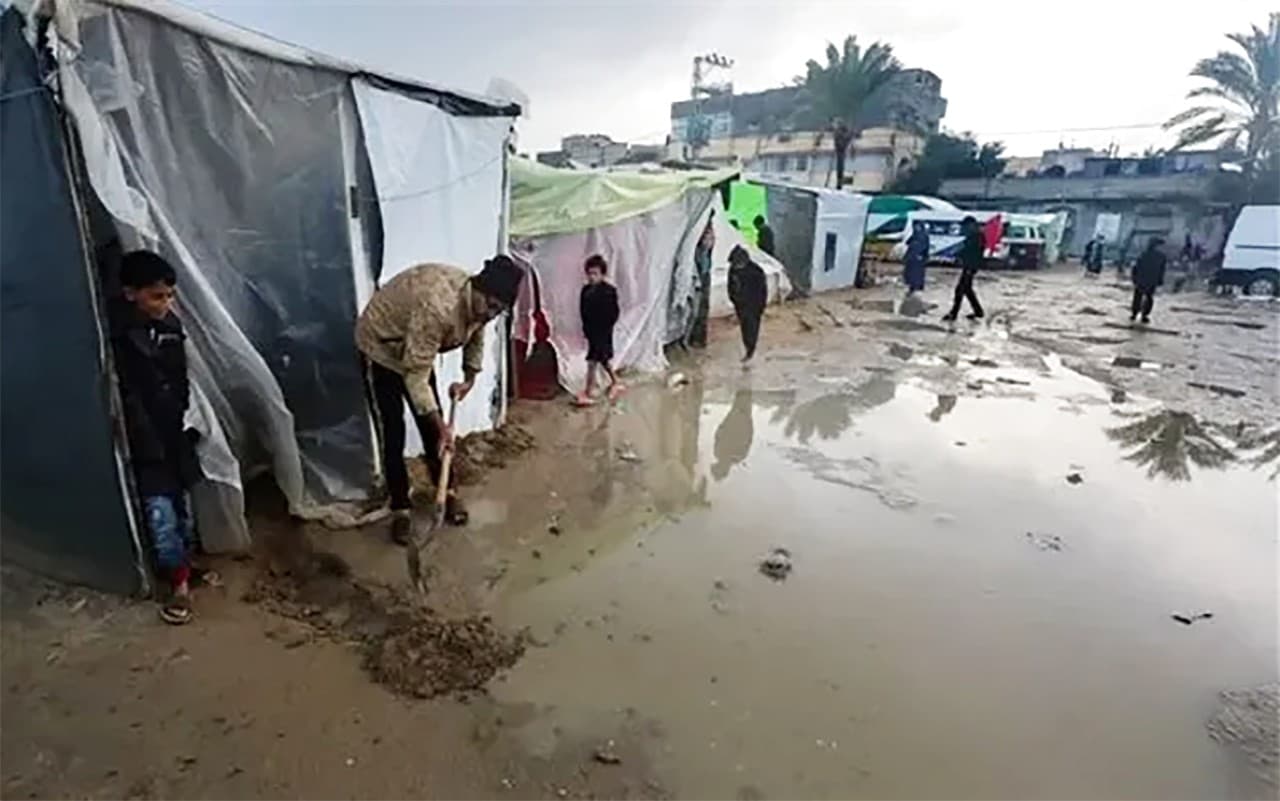 نازحين 2