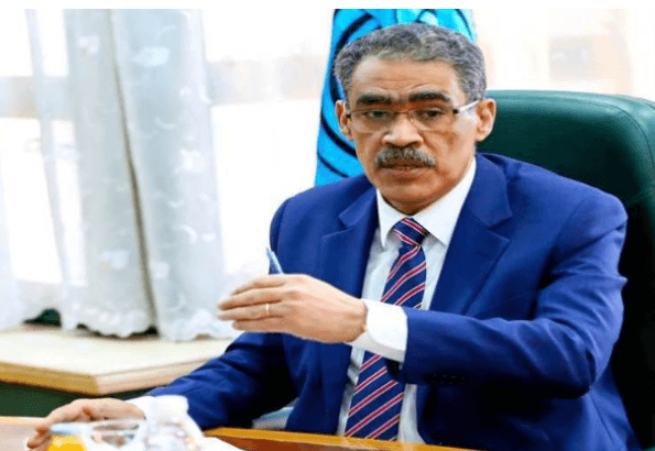 ضياء رشوان، رئيس الهيئة العامة للاستعلامات المصرية