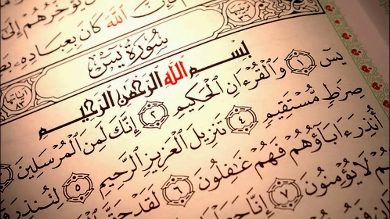 القراءات والدلالات والتفاسير لمفردتَي "يس" و"ال ياسين" عند الشيعة والسنة
