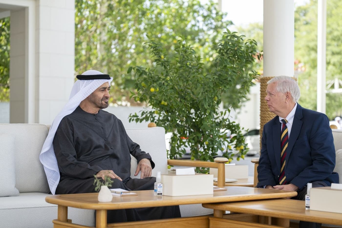 محمد بن زايد وليندسي جراهام