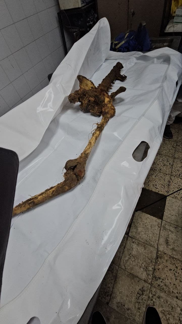 جثامين الشهداء تصل أشلاء