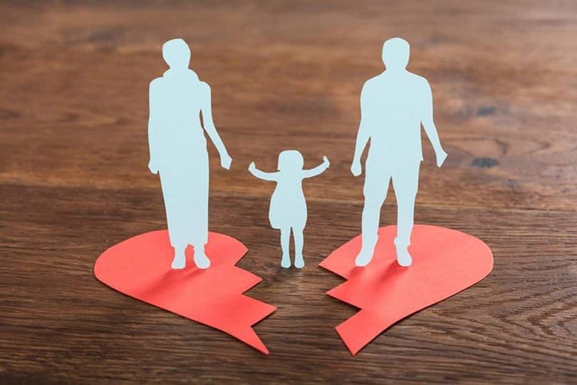 سارة جاسم تكتب: زلزال الأرقام في "عراق المدونات"