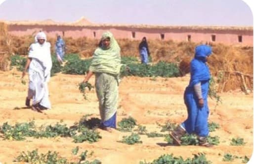 اللجوء المنسي… حين يصنع الإنسان الحياة بيديه