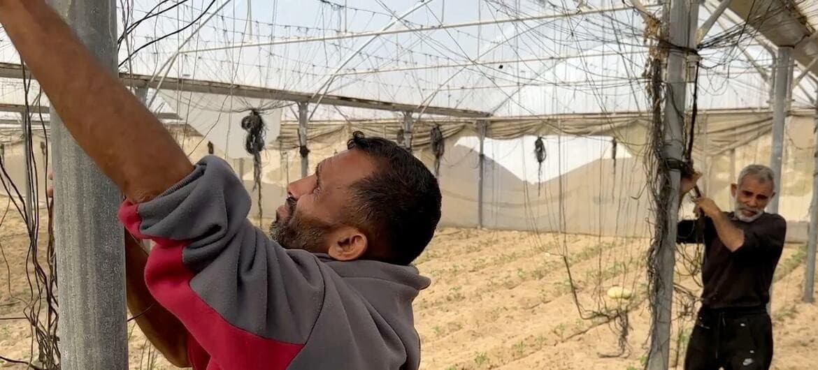 العامل الفلسطيني