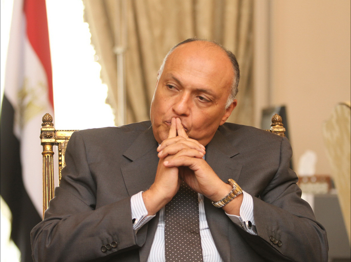 محمد دوير يكتب : السد الأثيوبي والوزير المصري