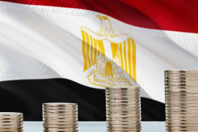 مصر : تقرير لوزارة التخطيط حول تعافي الإقتصاد