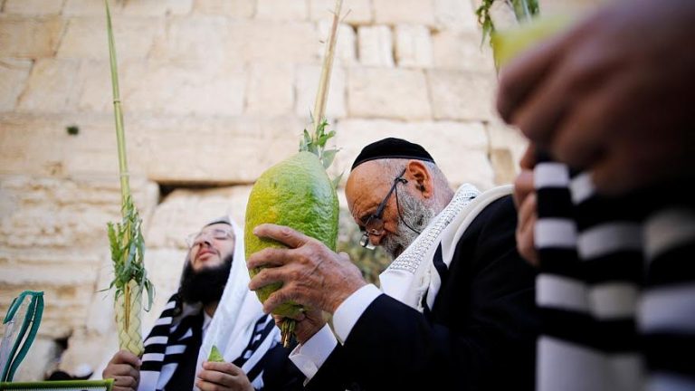 جيروزاليم بوست  : الإمارات ساعدت في نقل ثمار مقدسة للجالية اليهودية بإيران