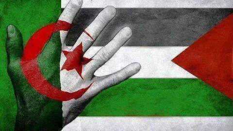 د. حسام الدجني يكتب: حوارات الجزائر المرتقبة (تقدير موقف)