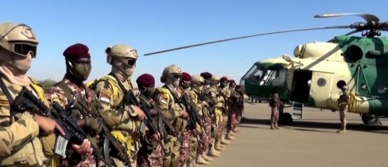 مناورات جوية بين جيشي مصر والسودان  - نسور النيل2