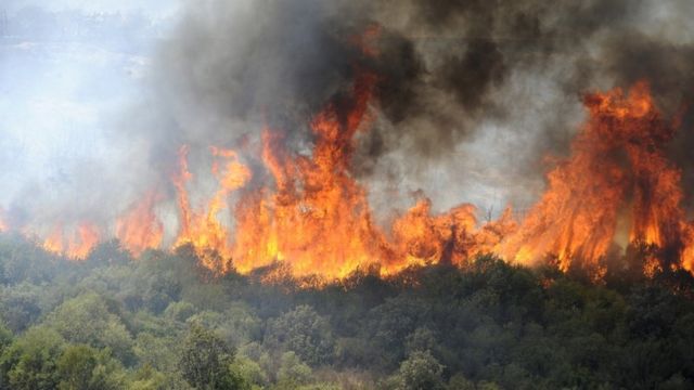 رسمياً.. الجزائر تتهم حركتي “الماك” و”رشاد” بالوقوف وراء حرائق الغابات