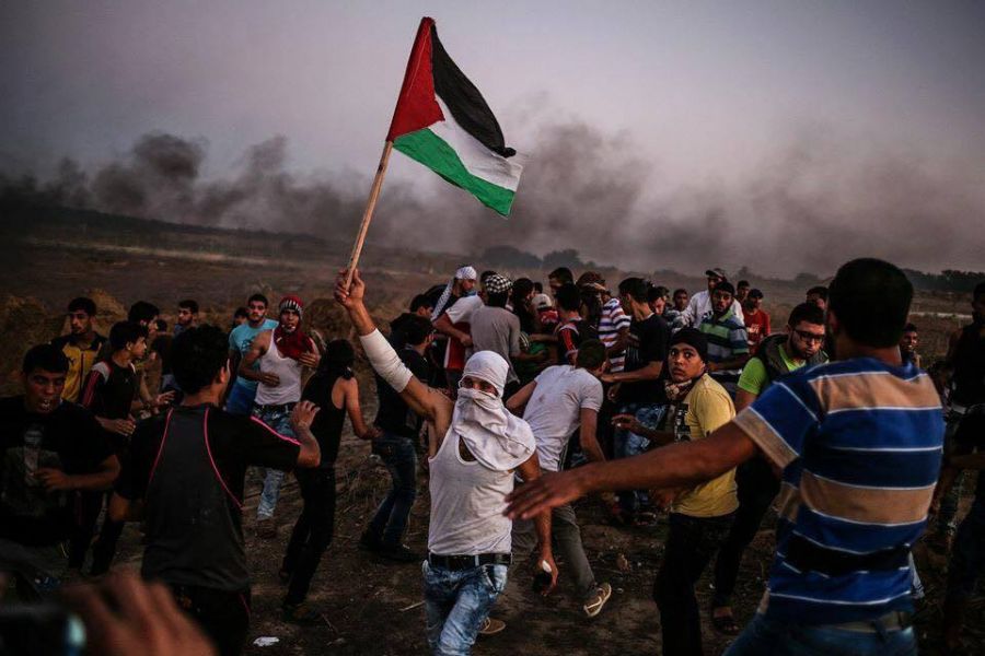 سنية الحسيني تكتب: اليوم العالمي للتضامن مع الشعب الفلسطيني: رسالة إلى إسرائيل