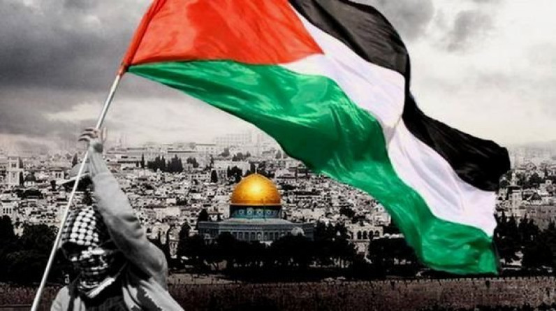 إعلامية أمريكية: « الوحيدون الذين لديهم الحق في الدفاع عن أنفسهم هم الفلسطينيون» (فيديو)