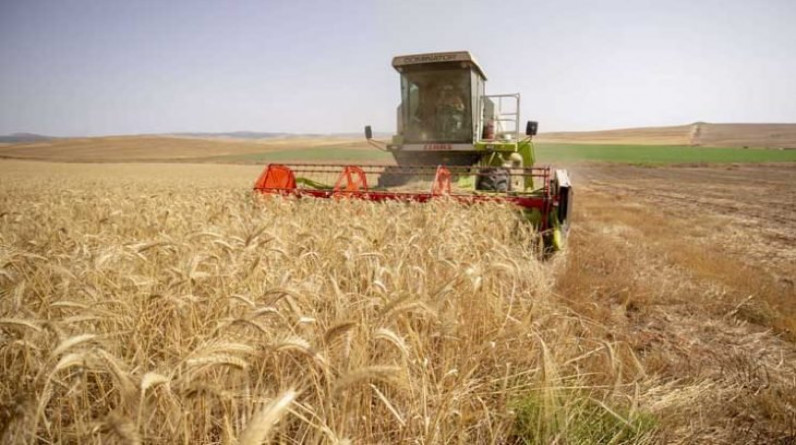 تقدم في مفاوضات تركيا وروسيا حول تصدير الحبوب الأوكرانية