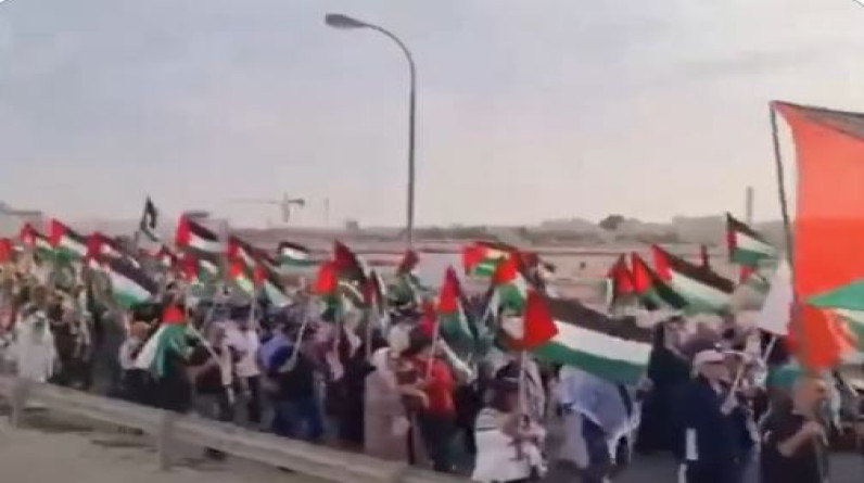 مسيرة حاشدة في البحرين لدعم غزة وطرد الأسطول الخامس الأمريكي (فيديو)