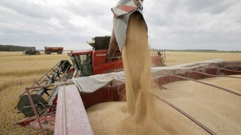 بوتين يرهن تسهيل تصدير الحبوب الأوكرانية بشرط
