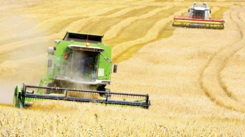 أوكرانيا تكشف أرقام موسم حصاد القمح.. "الخبز" في خطر