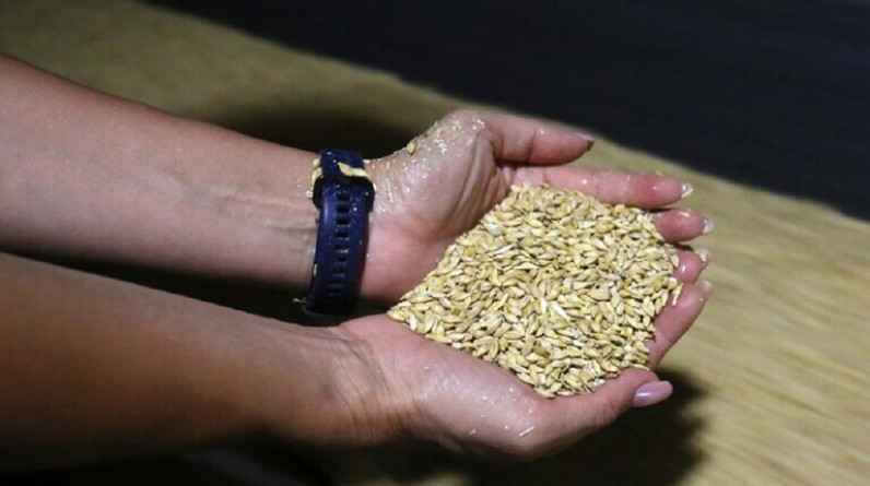 وزارة المالية المصرية تكشف عن وضع مخزون القمح لنهاية العام