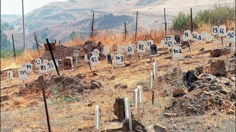 تمارا حداد يكتب: شهداء المقابر مازالوا أحياء في المشاعر.