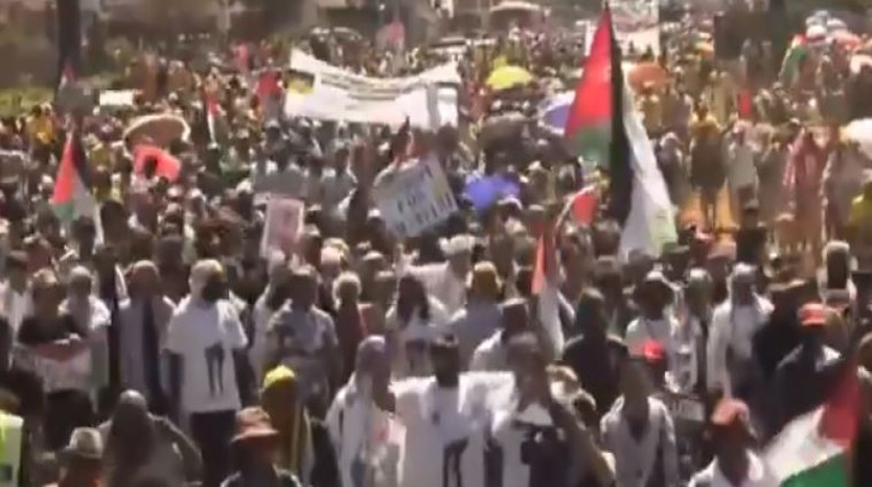 أحفاد مانديلا.. تظاهرات حاشدة في جنوب أفريقيا دعما لفلسطين (فيديو)