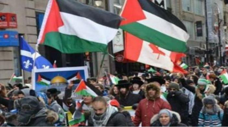 منظمة كندية تطلق موقعا يحتوي مواد لزيادة الوعي حول فلسطين