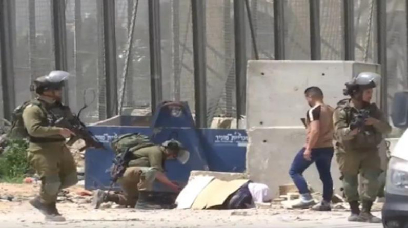 مصر.. الأزهر يدين إعدام سيدة فلسطينية على يد الجيش الإسرائيلي