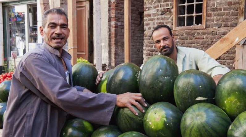 الغلاء يتسبب في إبعاد البطيخ عن موائد فقراء مصر
