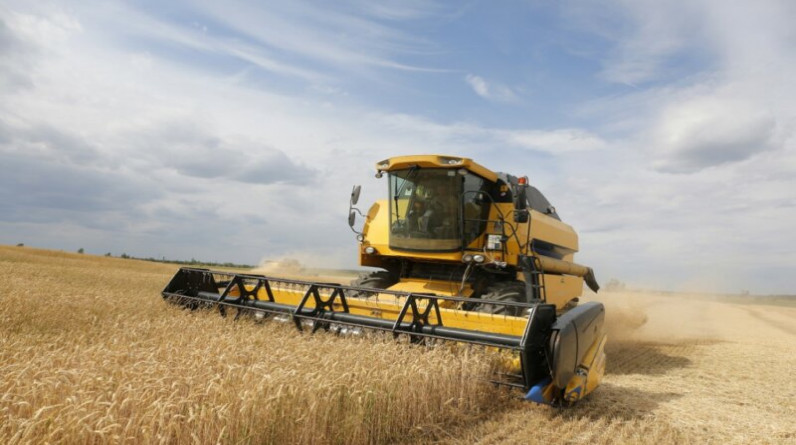 بعد روسيا ...أوكرانيا تحظر تصدير القمح.. 11 دولة بالشرق الأوسط تتضرر