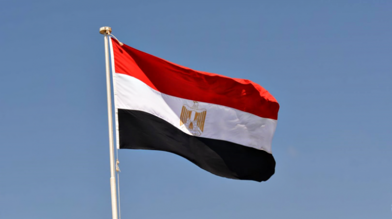 وزير العدل المصري يؤكد فصل كل "الخلايا الإخوانية" الموجودة في السلك القضائي