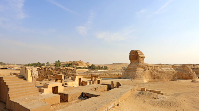 ما حقيقة حبة الرمان المحنطة التي عثر عليها في مقبرة توت عنخ آمون بمصر؟