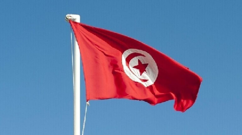 رئيسة حزب تونسي: "دستور سعيد وثيقة استعمار واستعباد"