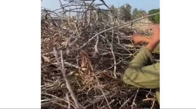 فلسطينيون يصرخون: الاحتلال أعادنا للعصر الحجري نطهي الطعام على الحطب