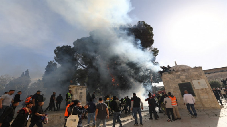 احتراق الأشجار في محيط المسجد الأقصى بسبب قنابل غاز  الاحتلال