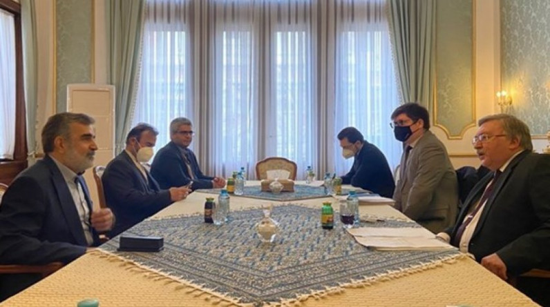المفاوضات النووية الإيرانية ..كمالوندي يلتقي مع أوليانوف في فيينا