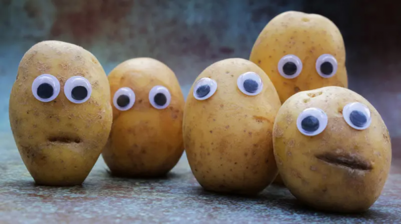 البطاطا تساعد على إنقاص الوزن.. دراسة تنسف ما سبق