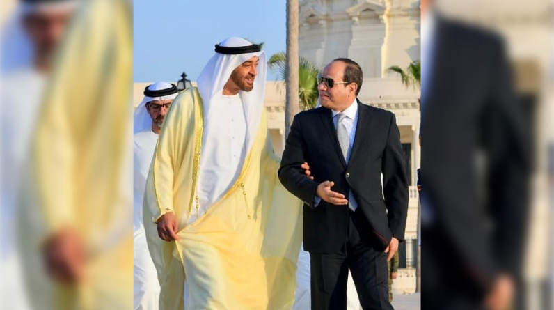 السيسي يلقي كلمة بمناسبة مرور 50 عاما على العلاقات المصرية الإماراتية