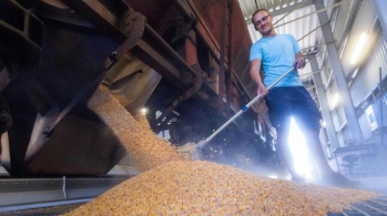 توقع موافقة روسيا على تمديد اتفاق تصدير الحبوب الأوكرانية